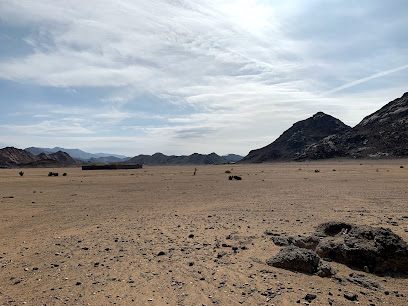 كوفي شوب كوفي شوب - الوجه -