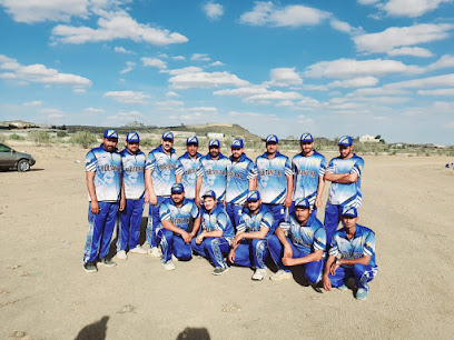 ملاعب الكريكيت في دوري عسير - خميس مشيط - +966 59 990 0286