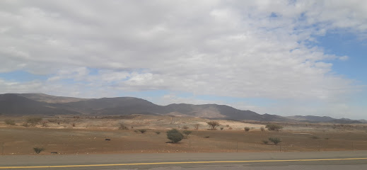 مستودع المراعي عفيف - عفيف -