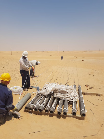 شركة القمة الخضراء للمقاولات المحدودة - Saudi Arabia|Al Khobar|10th floor|NSH Tower