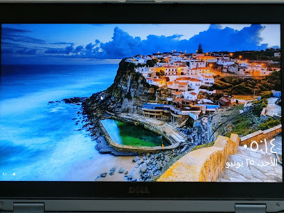 الفائز - المدينة المنورة -