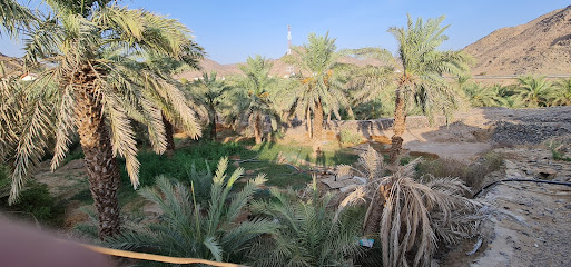 البركة والفارعه الابتدائية للبنين - الفريعة -