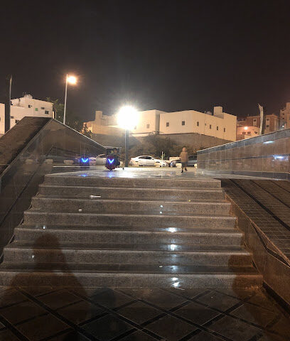 حديقة الحي - أبها -