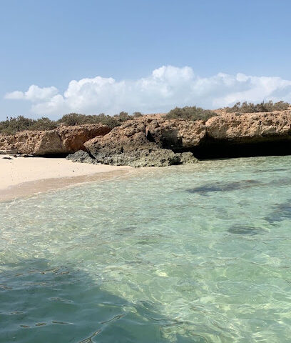 فارس للرحلات البحريه - جزيرة فرسان - +966 55 945 9154