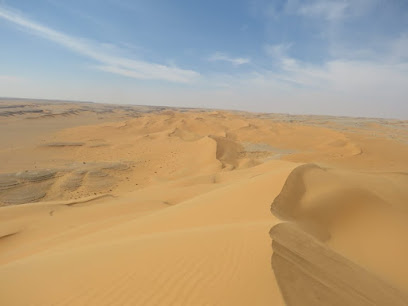 شركة مسعود بالعيد حيدر ال حيدر للتجارة والمقاولات العامه - نجران - +966 50 572 4412