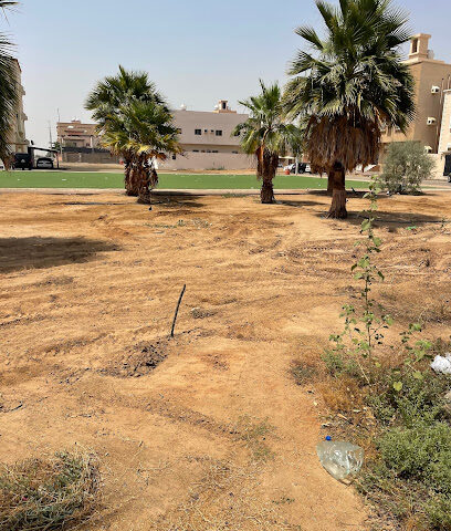 حديقة الصفا الشرقي العامة - رابغ -