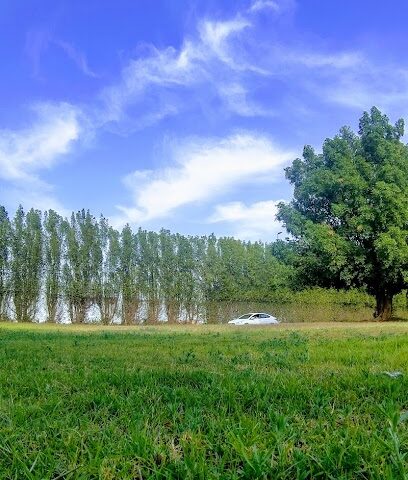 بقيق - بقيق - +966 59 342 9804