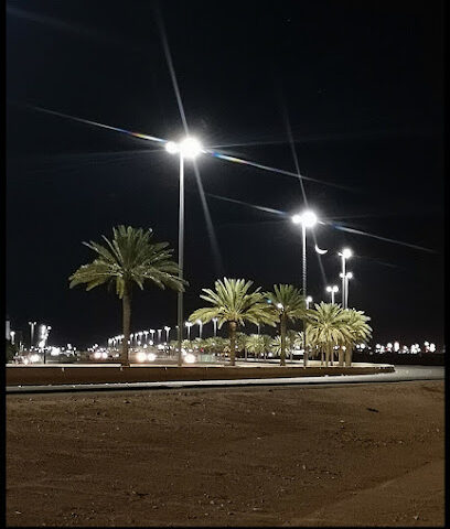 دوريات امنية بحائل - يشيد - +966 16 534 2220