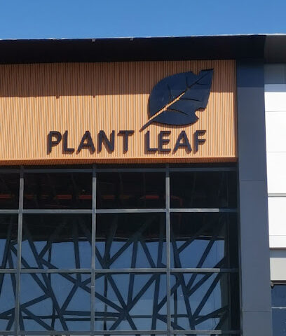 بلانت ليف | بلانت ليف كافيه - تبوك -