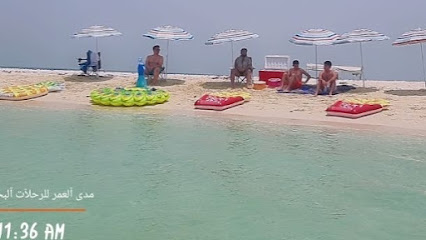 المواثيق البحرية مدى الحياة - جازان - +966 50 667 5606