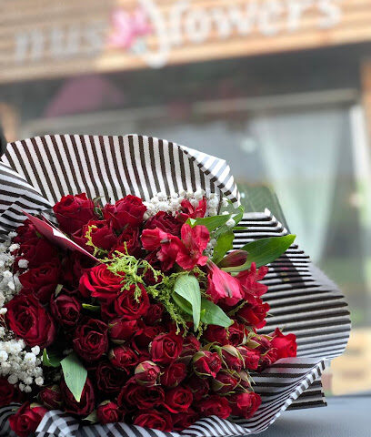 نوس للورد نوس للزهور - صبيا - +966 55 893 1549