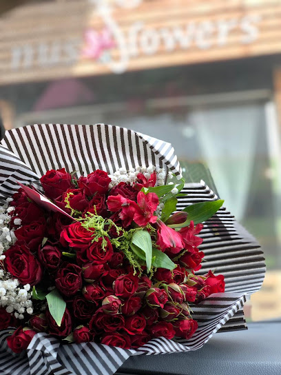 نوس للورد نوس للزهور - Saudi Arabia|Sabya 85299|5J5G+8R6