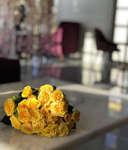 ميلا لونج - سكاكا -