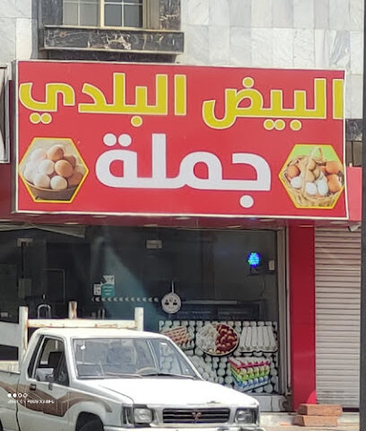 حلوني شيحة - المدينة المنورة - +966 59 914 6805