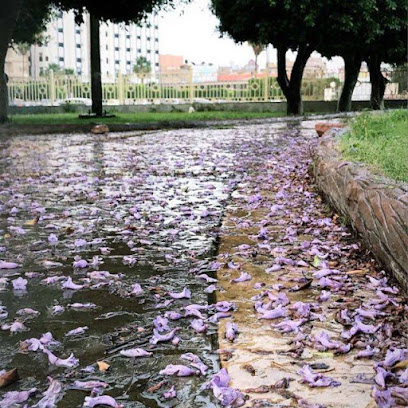 د.عمر اسبيناتي - الطائف -