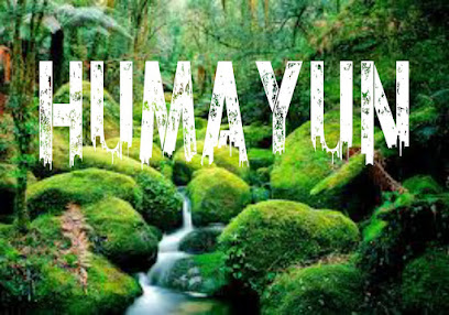 JDBA7925 همايون - جدة -